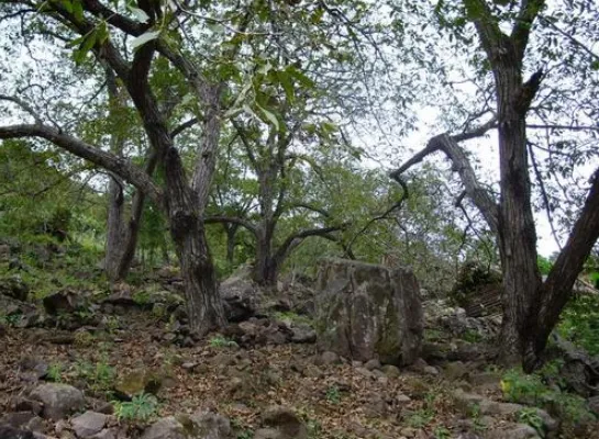 天珠|李连杰的天珠真的值1亿吗？假如大师说真话，心要滴血！