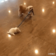 小叶娱记 “前女友发照片跟我炫耀,说在路虎车里,怎么看着不像呢?”