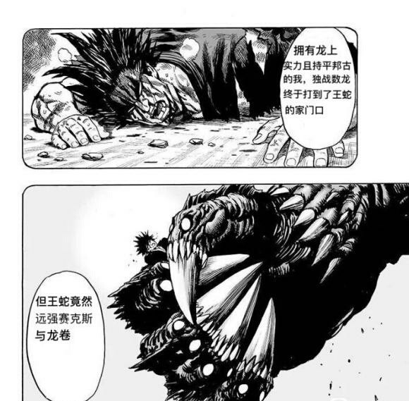 一拳超人|谁是一拳超人中最励志的人物？