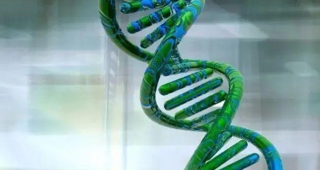 科学家 为什么人类实现不了“永生”的想法？研究结果让科学家彻底死心