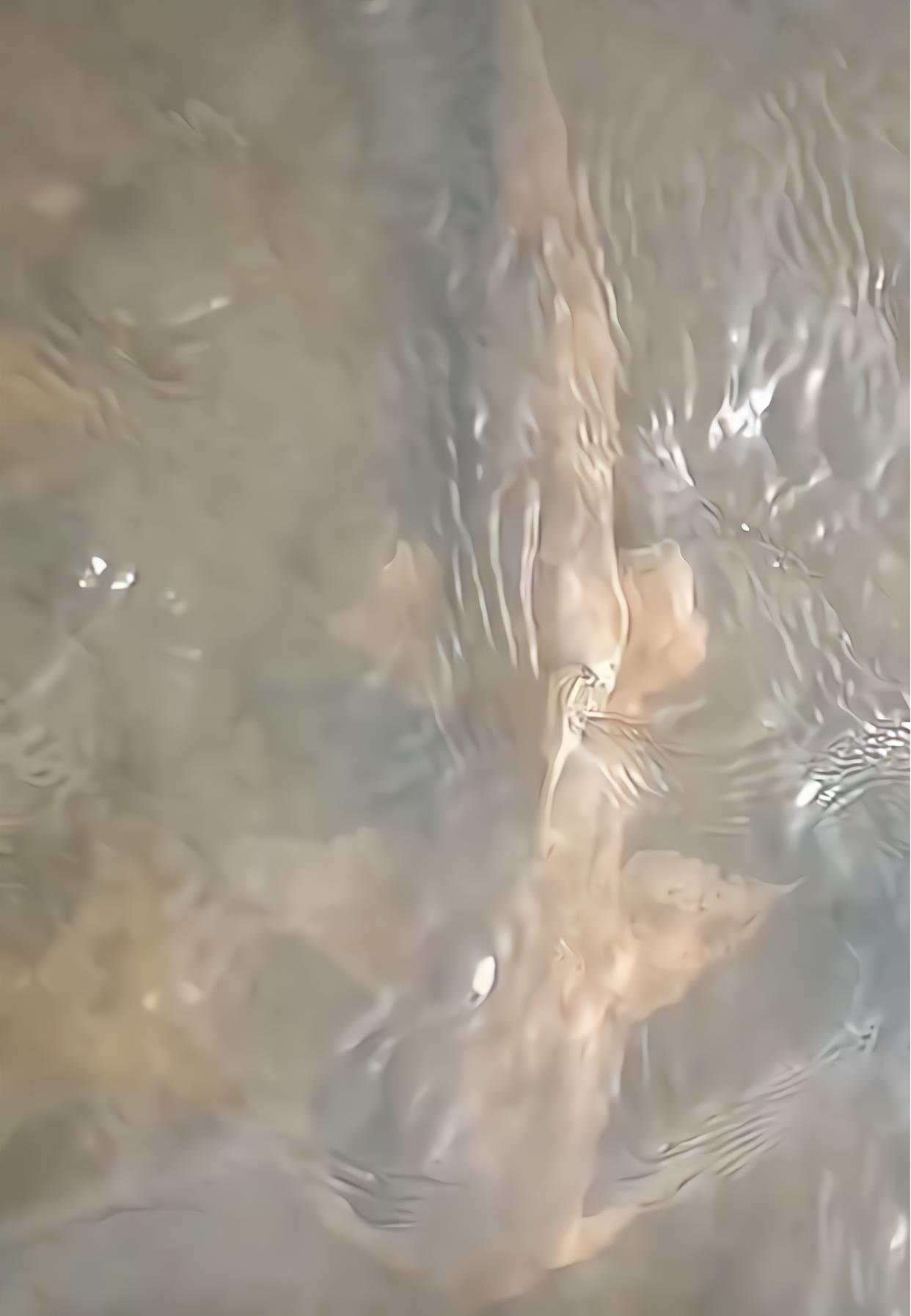 贵州|贵州钓鱼人在河里钓了条怪鱼，像是外星生物，网友：这是龙