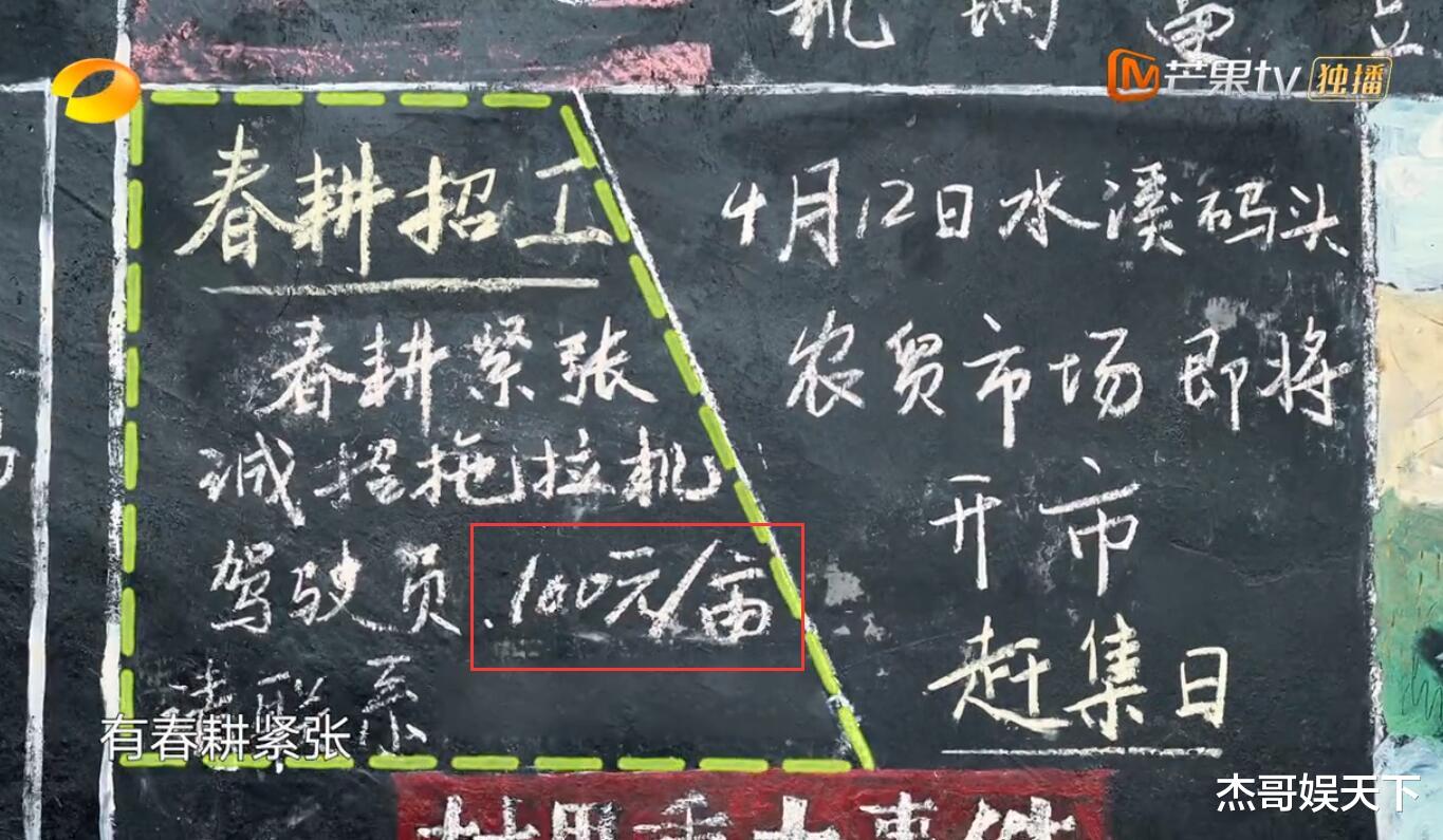 杨紫|张艺兴一语坑惨杨紫，虽然何炅高情商圆场，但背后的暗示太明显了