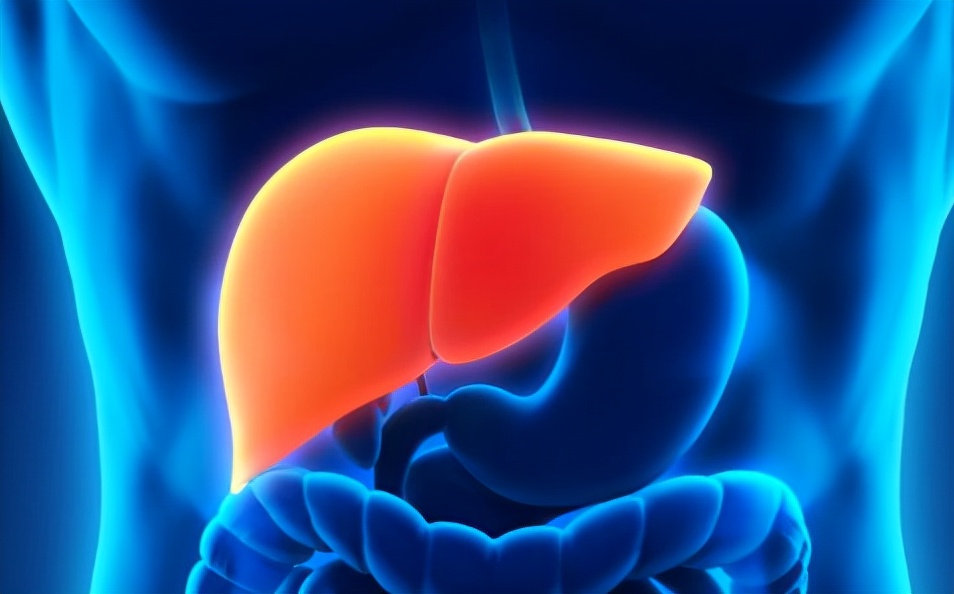 肝脏|吃南瓜会损伤肝脏？ 肝科医生：愚昧！3种素菜比烟酒还伤肝，劝你管住嘴