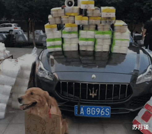 苏月瑾 “别人穿几千的鞋，你说人家帅，我骑几千的电瓶车，你不理我? ”哈哈哈