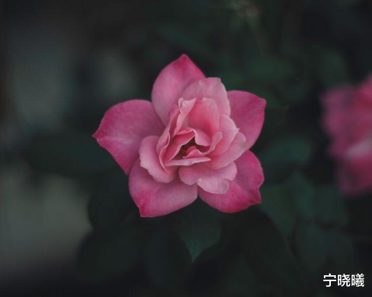 宁晓曦|巨蟹座生气时，心里都在想什么？