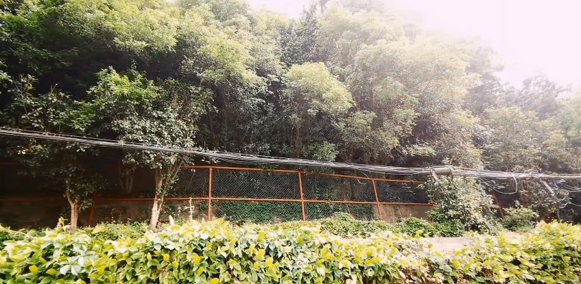 小小星座解说屋|上海市区“神秘”的山，曾被当作靶场和刑场，现在不对外开放