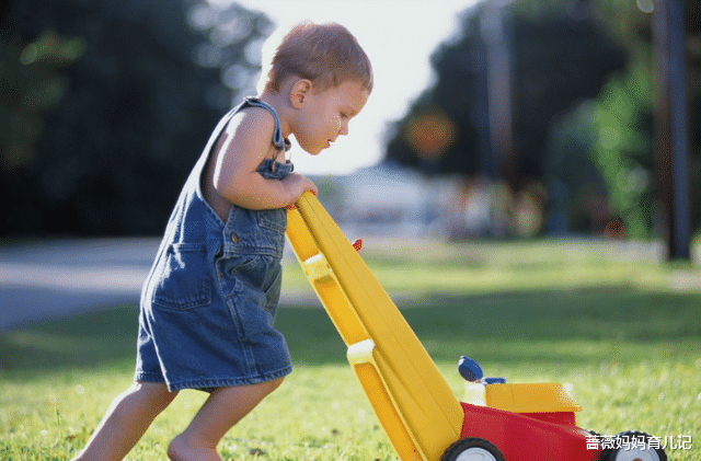 蔷薇妈妈育儿记|最好的家庭教育，是教会娃这3件事：守规矩，懂自律，钝感力