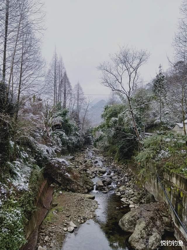 医生|当年的钓点早已无鱼可钓,但鱼就在水中,真正的垂钓者都能看见