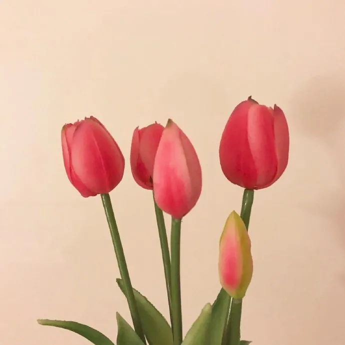 情感语录生活感悟|送给教师的通俗祝福语,简短温馨,节日快乐!