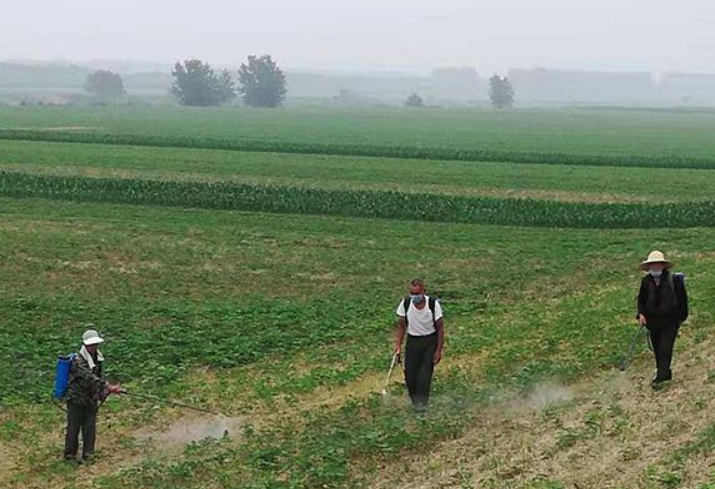  “早立秋凉飕飕，晚立秋热死牛”，是不是迷信，有科学依据吗？