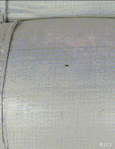 刘亦菲|“马总化腾的女儿又爆出近照，朋友们你们觉得漂亮吗？”