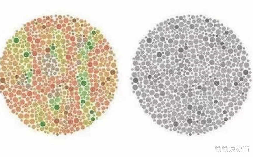 国企|这个职业是国企正式编制，却对视力有超高要求，能看清2个算你赢