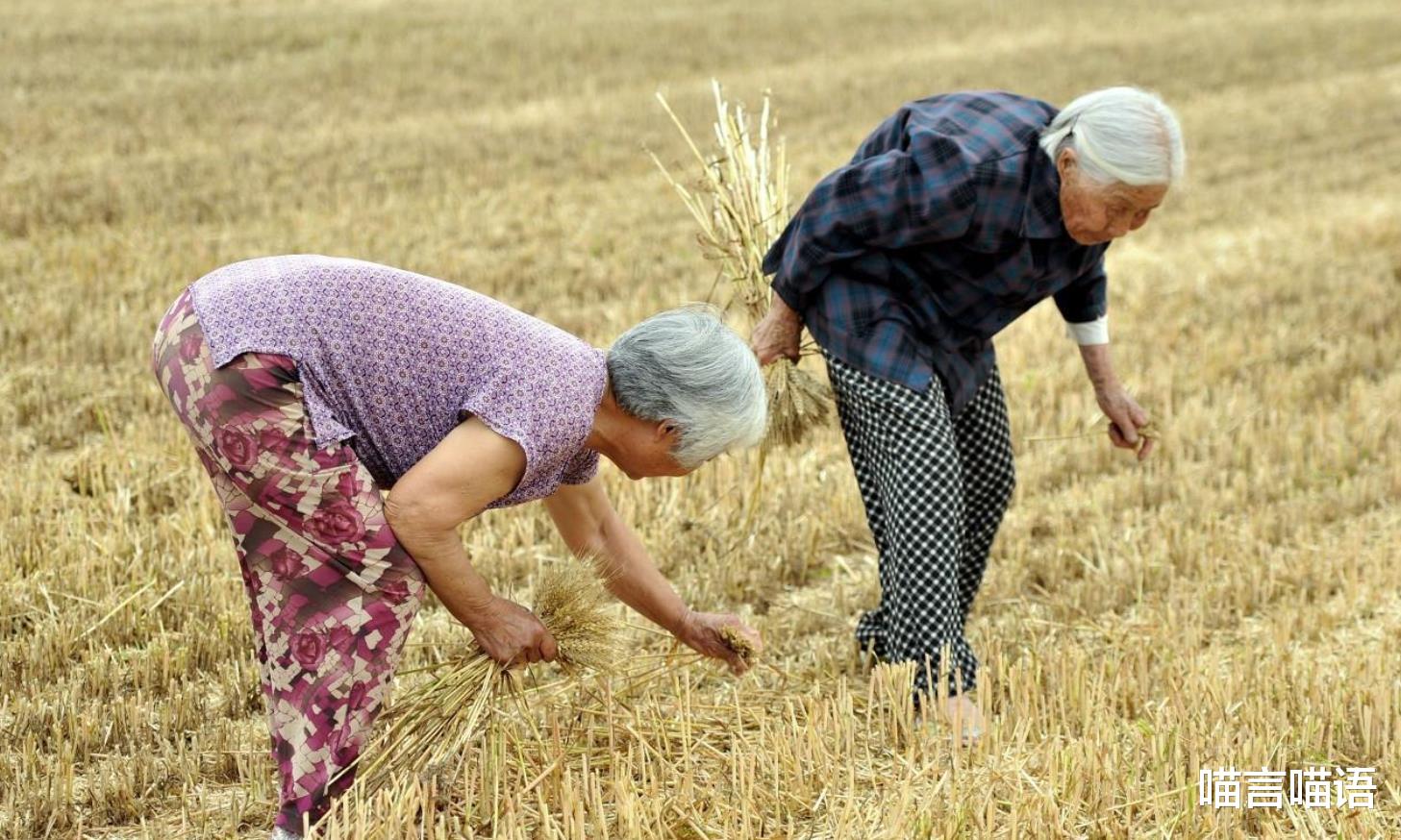 喵言喵语 岳阳一农村老人离世，家里藏了数十万现金，子女们数钱从笑数到哭