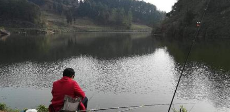 周文王|冷水鱼怎样才好钓? 来看看老钓手的经验分享! ——盛世三渔