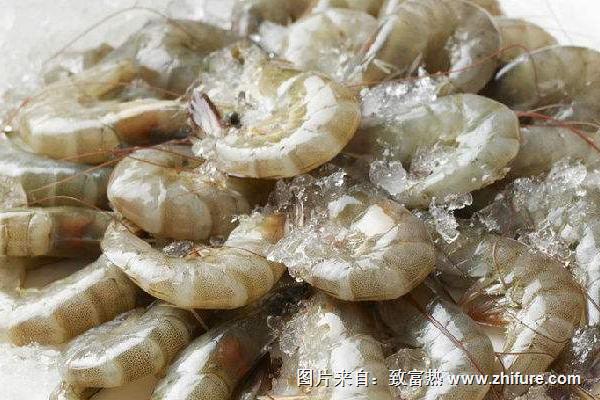 博物馆|南美对虾的价格与价值