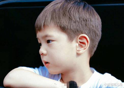 霍思燕|有种“失望”叫霍思燕儿子，7岁脸部臃肿有双下巴，网友：可惜了