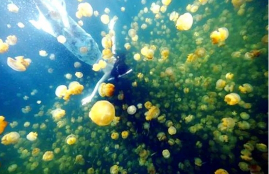 航天员 一个不好的消息：2.5亿年前大灭绝事件正在重演，人类该怎么办？