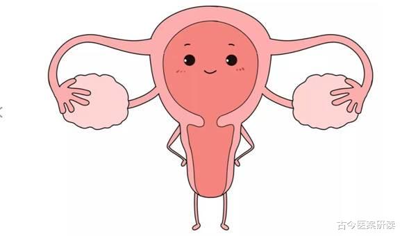 古今医案研读|天然“雌激素”已找到,不是豆浆,放肆喝,卵巢一天比一天好