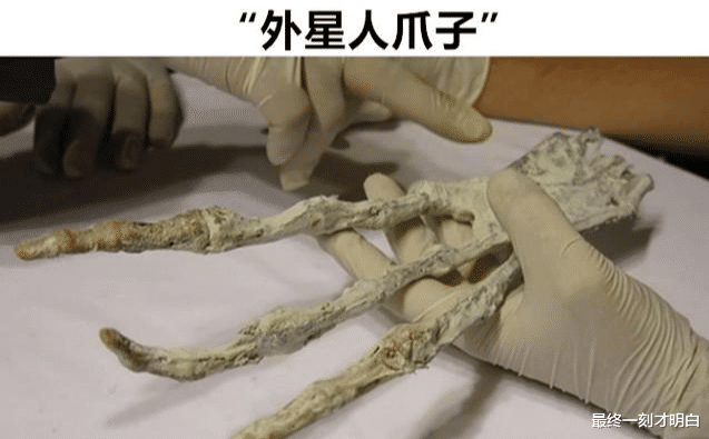被人们在沙漠中意外找到的7个极其神秘的东西