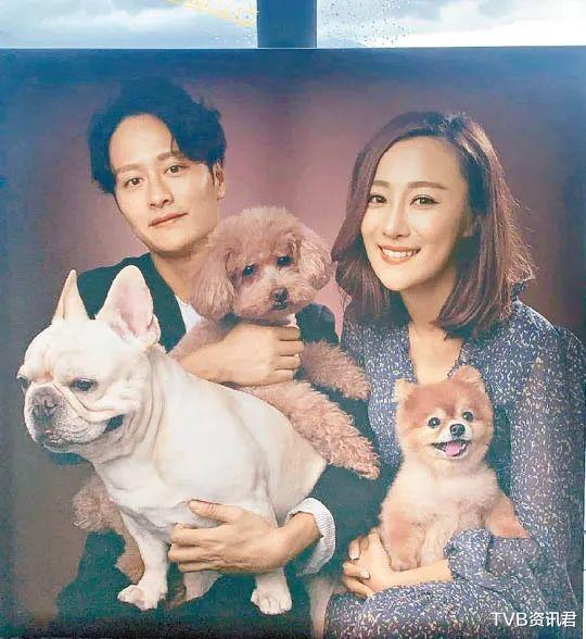 麻花辫|破镜难重圆！TVB小生与“偷食女友”四年情断，女方疑已搬离爱巢