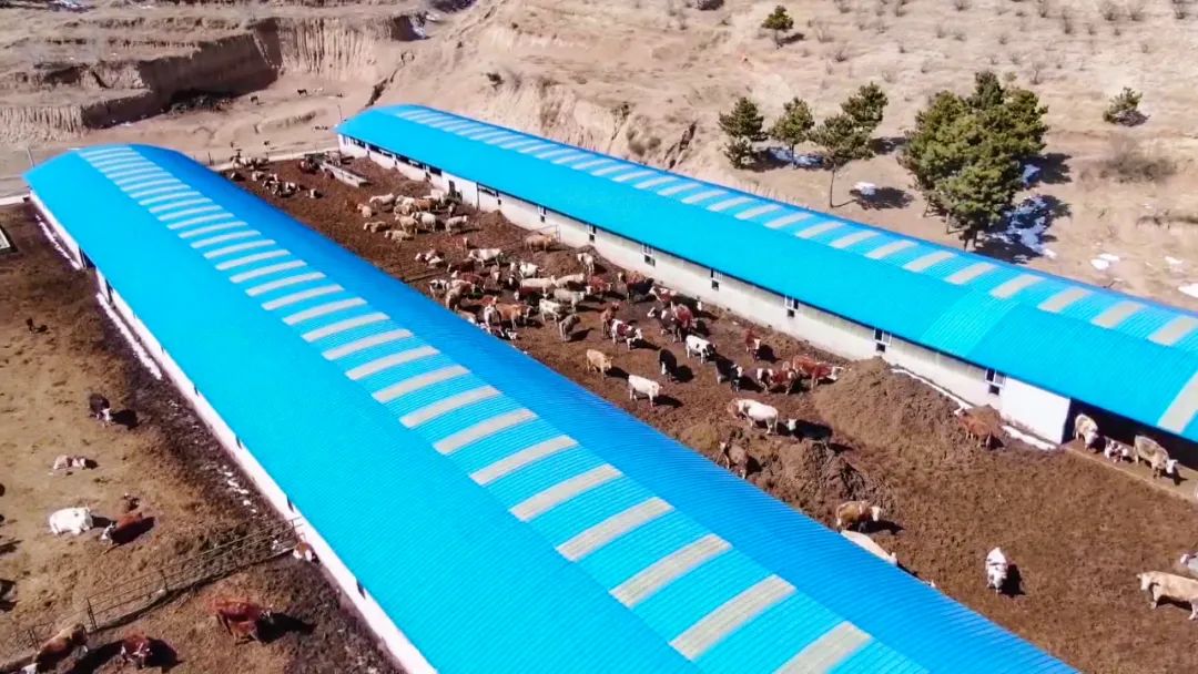 建平快报 巩固拓展脱贫成果，有效衔接乡村振兴