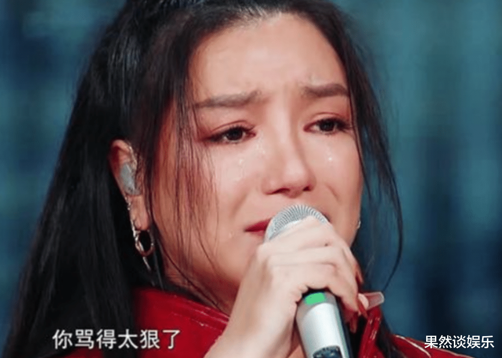 丁太升|综艺混子丁太升的嘴，到底多毒？吐槽韩红黄绮珊，怒怼张杰江映蓉