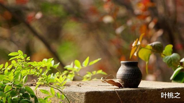 叶桃之 任何人对你好，都是有所图的