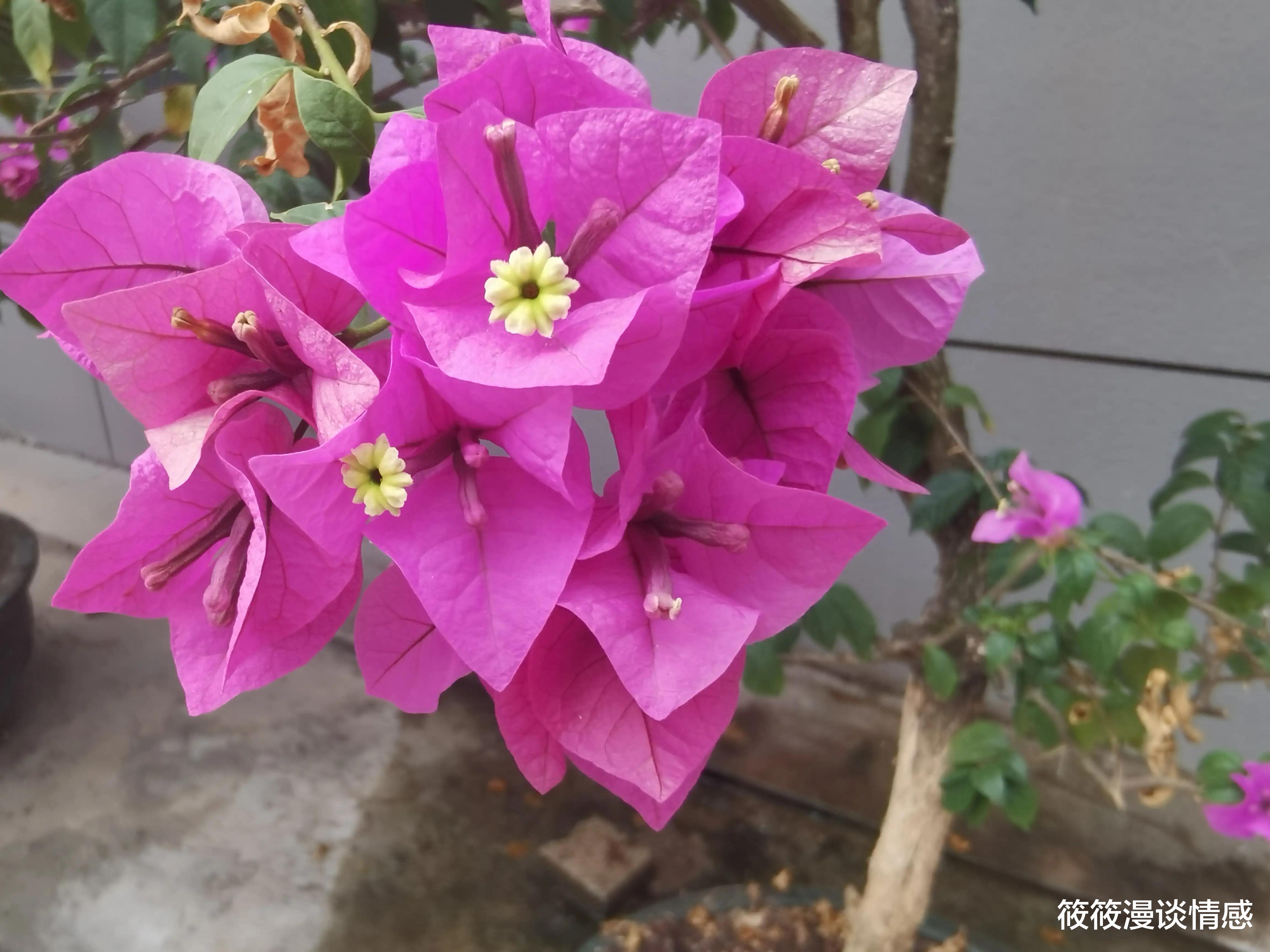 筱筱漫谈情感 “老伴儿去外地带孙子后，女邻居经常来我家，选择这样做就对了”