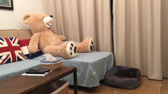 |晒一晒新家，前后花了7W，装修效果图太美，妹子都没我这么能干