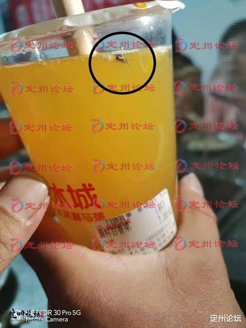 定州论坛 河北定州：这家饮料店真“良心”，买百香果赠送“绿豆蝇”！