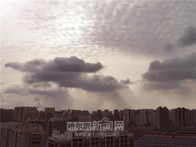 哈尔滨新闻网 冷空气要“撤军”，17日气温止跌回升丨春捂秋冻别着急减衣