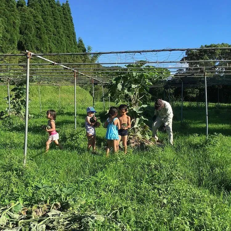 汇客廰文旅 夏听蝉鸣冬赏雪,这个男人携妻儿“躲到”乡下的田园生活羡煞旁人
