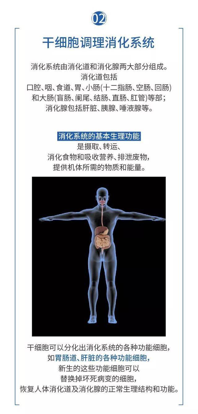 杭吉干细胞科技|详解干细胞如何保护人体八大系统，从而让人类获得健康长寿的奥秘