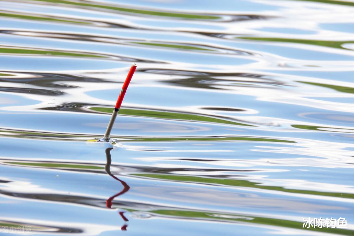 水库|钓鱼人常遇到的5件“怪事”,我相信你也遇到过,我遇到好几次