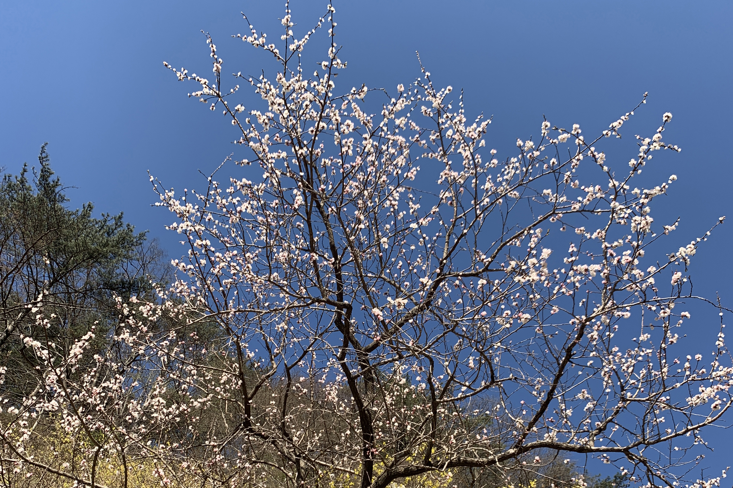 pua|作为普通员工，你有被上级PUA吗？职场老油条告诉你该怎样做