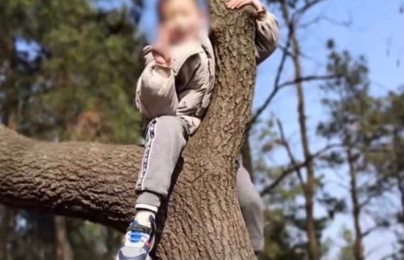 三十秒社汇 陕西六岁男童遭13岁邻居残忍杀害？案情细节曝光，未成年人或许不负刑事责任？