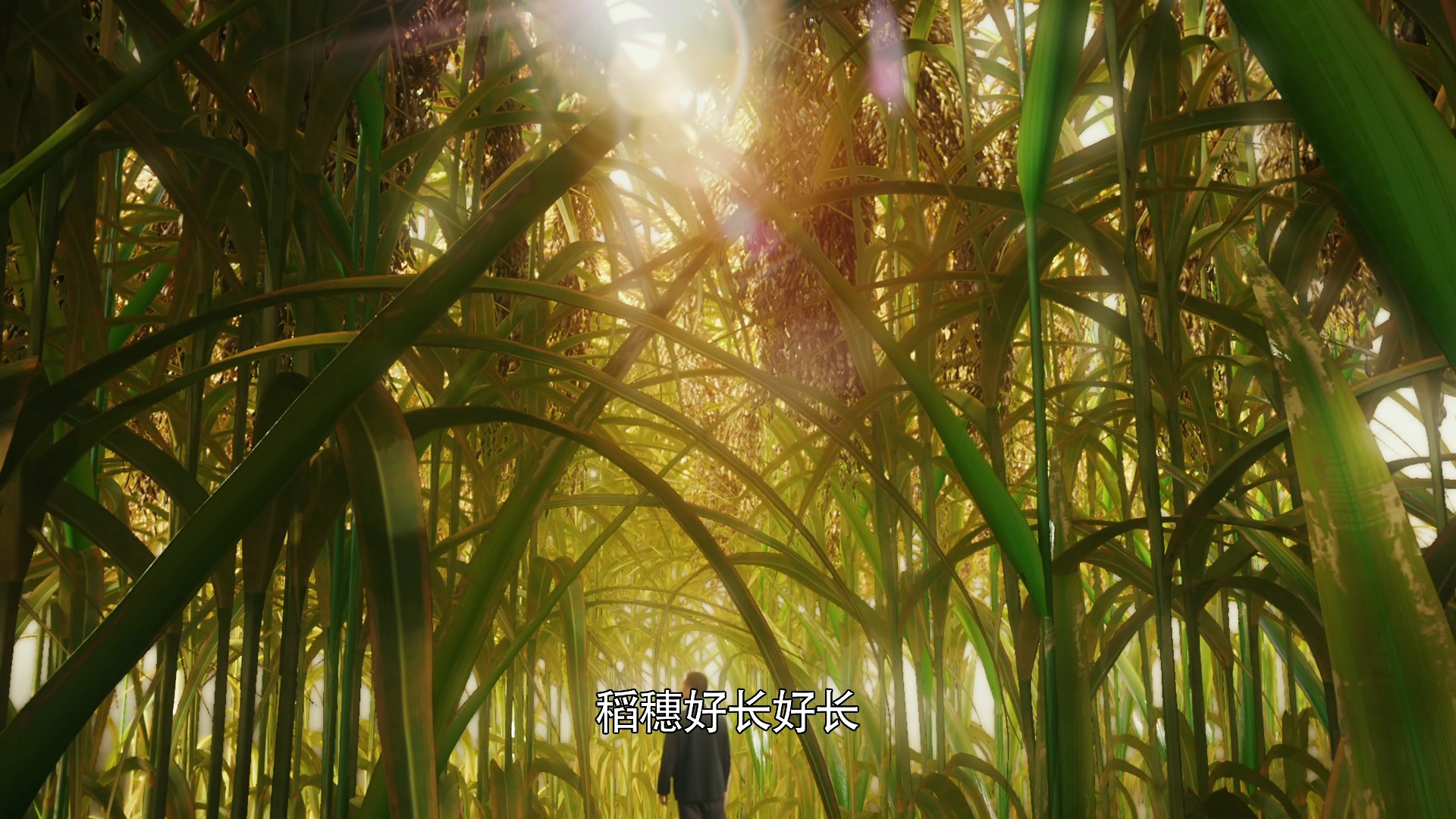 汤汤慢 《功勋》袁隆平篇：8个黄金配角，最苦的是陈友旺，认错了邵峰