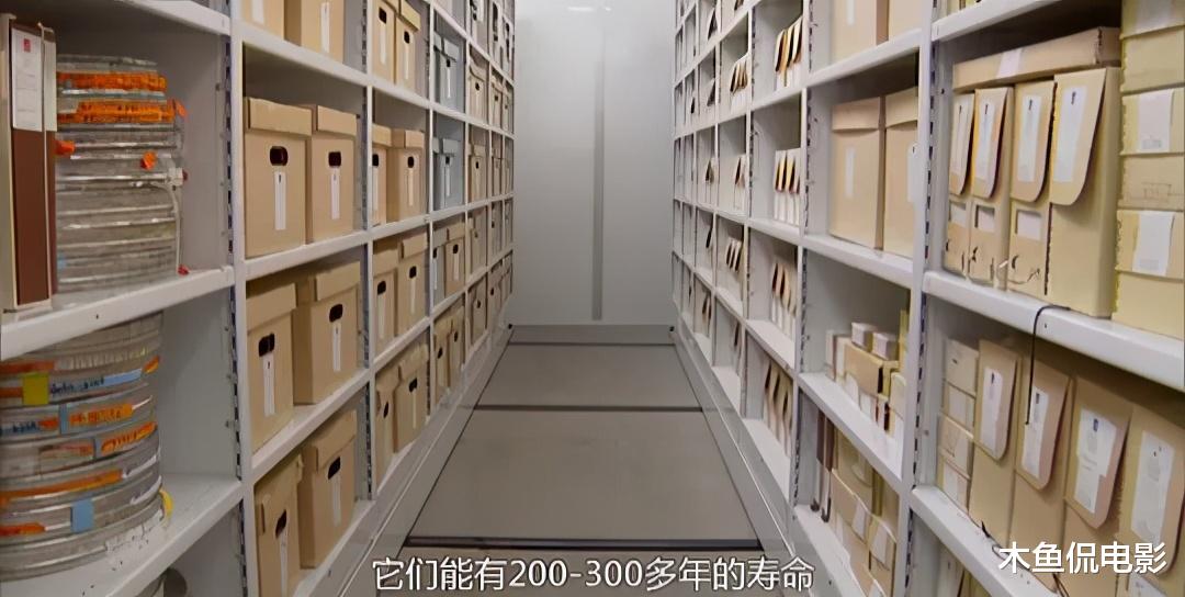 鲨鱼 倘若75亿人全部消失，地球会变成什么样？纪录片