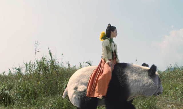 王仙芝|骑熊猫扛向日葵的呵呵姑娘，六次出手用命刺杀王仙芝，只为报恩