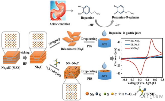 电化学|氮硫共掺杂 Nb2C-MXene 纳米片用于胃液酸性条件下超灵敏电化学检测多巴胺