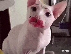 |“妹子出门太急了,丝袜穿成这样子,真的太尴尬了!”