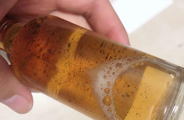 饵料|被吹上天4种钓鱼饵料，我已经替你们试过，以后别再被骗了