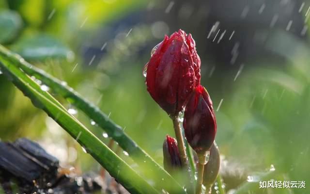 |人到四十，面对这三种苦，只有熬过去