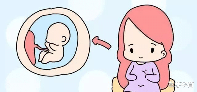 喜芽孕育|孕期能频繁摸肚子吗
