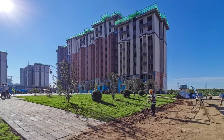 房价|206栋住宅楼全部封顶！雄安新区雄东片区A单元安置房样板间很惊艳