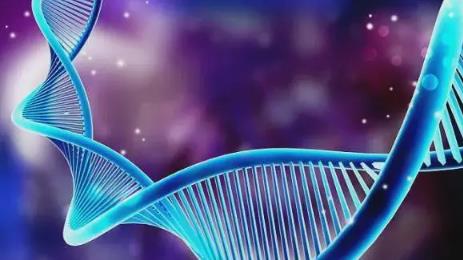 隔离 1962年昆仑山螳螂人事件,事情的真相果真如此?