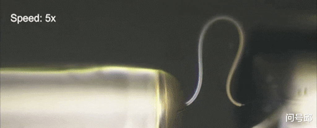 科学家 我国科学家们创造出了超级柔韧的冰，冰丝还能打造成光纤