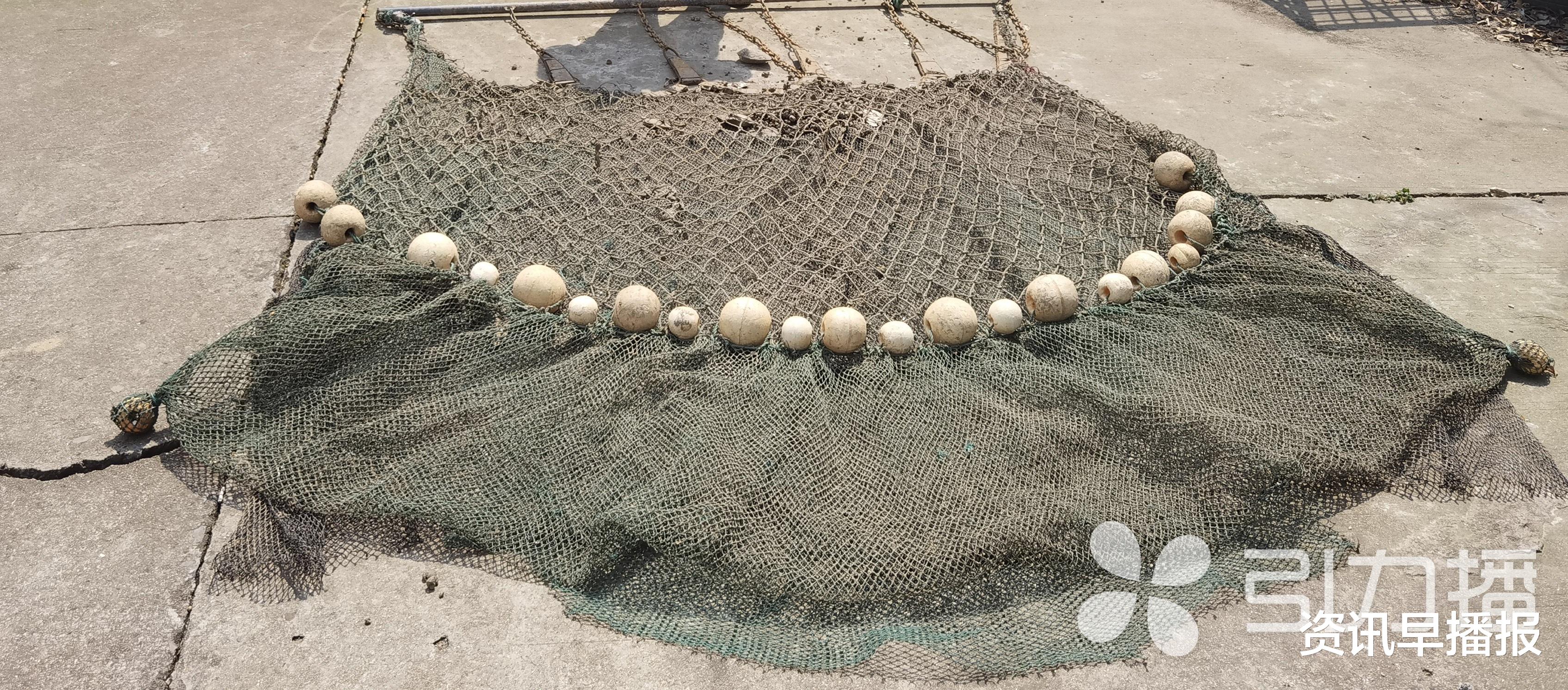 资讯早播报 阳澄湖里一夜疯狂捕捞6吨多螺蛳！苏州相城警方查获一偷捕团伙