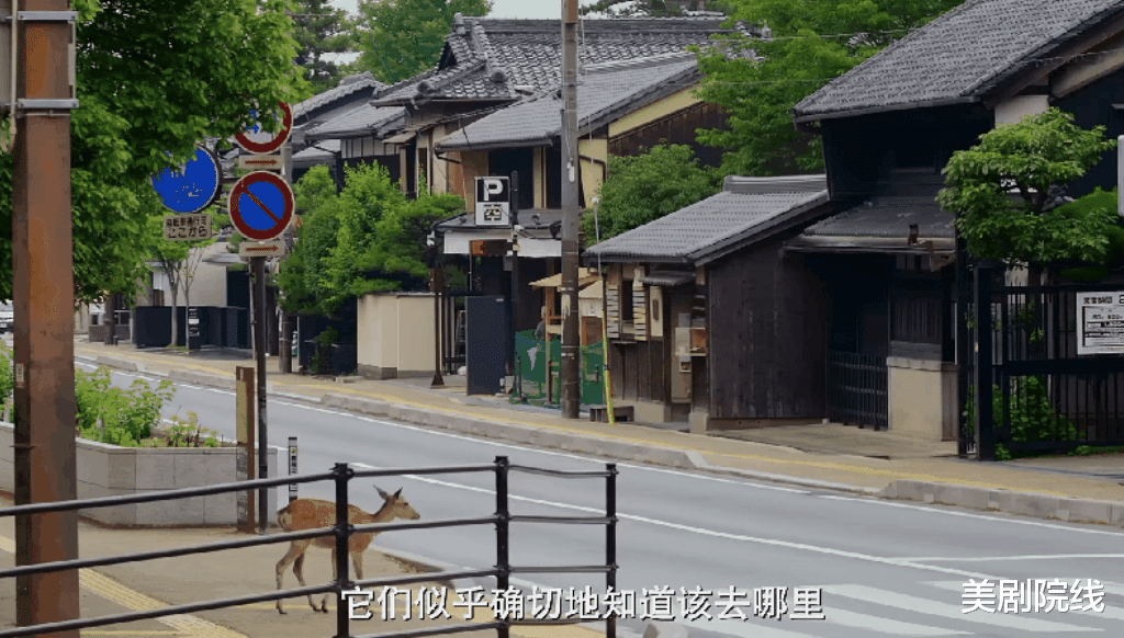 大象 豆瓣9.2，这才是我们现在要看的神作，就该打五星