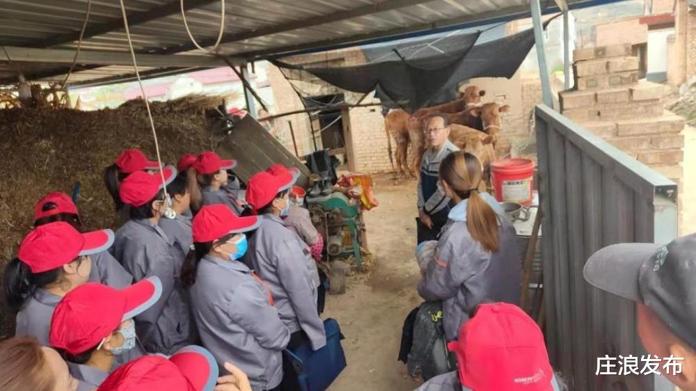 庄浪发布 甘肃庄浪：劳动力技能培训助力乡村振兴